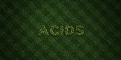 ACIDS - fresh Grass letters with flowers and dandelions - 3D rendered royalty free stock image. Can be used for online banner ads and direct mailers..