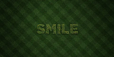 SMILE - fresh Grass letters with flowers and dandelions - 3D rendered royalty free stock image. Can be used for online banner ads and direct mailers..