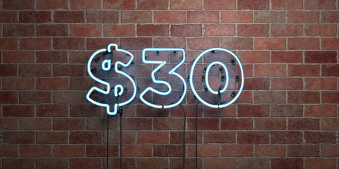 Obraz premium $30 - fluorescent Neon tube Sign on brickwork - Front view - 3D rendered royalty free stock picture. Can be used for online banner ads and direct mailers..