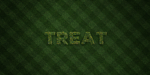 TREAT - fresh Grass letters with flowers and dandelions - 3D rendered royalty free stock image. Can be used for online banner ads and direct mailers..