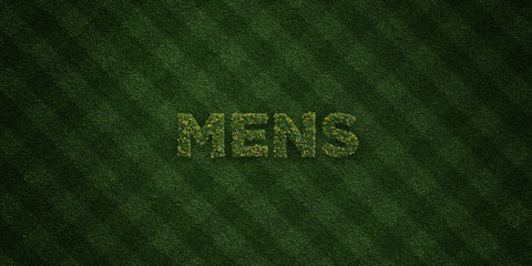 MENS - fresh Grass letters with flowers and dandelions - 3D rendered royalty free stock image. Can be used for online banner ads and direct mailers..