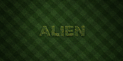 ALIEN - fresh Grass letters with flowers and dandelions - 3D rendered royalty free stock image. Can be used for online banner ads and direct mailers..