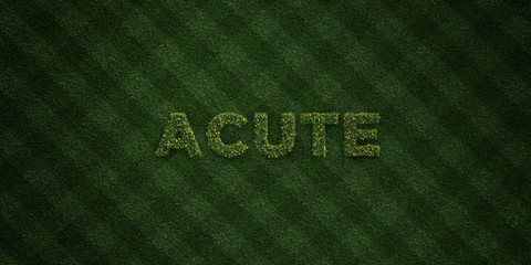 ACUTE - fresh Grass letters with flowers and dandelions - 3D rendered royalty free stock image. Can be used for online banner ads and direct mailers..