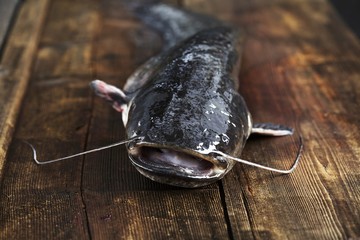 Freshly caught catfish on wooden board