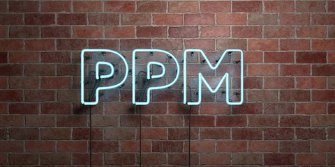 PPM - fluorescent Neon tube Sign on brickwork - Front view - 3D rendered royalty free stock picture. Can be used for online banner ads and direct mailers..