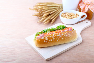 Hot dog on wood background