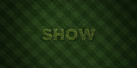 SHOW - fresh Grass letters with flowers and dandelions - 3D rendered royalty free stock image. Can be used for online banner ads and direct mailers..