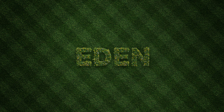 EDEN - fresh Grass letters with flowers and dandelions - 3D rendered royalty free stock image. Can be used for online banner ads and direct mailers..