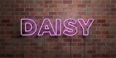DAISY - fluorescent Neon tube Sign on brickwork - Front view - 3D rendered royalty free stock picture. Can be used for online banner ads and direct mailers..