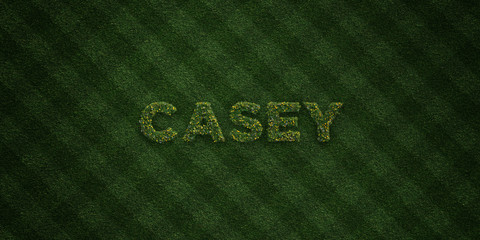 CASEY - fresh Grass letters with flowers and dandelions - 3D rendered royalty free stock image. Can be used for online banner ads and direct mailers..