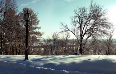 Lamppost on a background of bare trees in winter