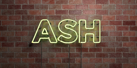 ASH - fluorescent Neon tube Sign on brickwork - Front view - 3D rendered royalty free stock picture. Can be used for online banner ads and direct mailers..
