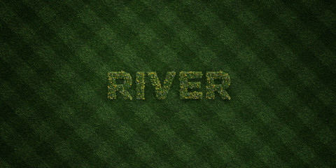 RIVER - fresh Grass letters with flowers and dandelions - 3D rendered royalty free stock image. Can be used for online banner ads and direct mailers..