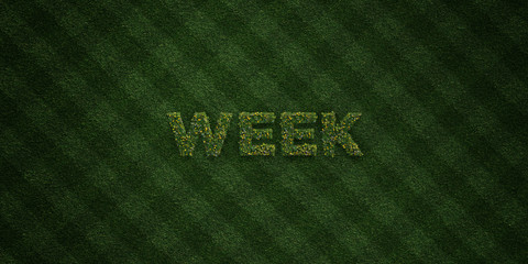 WEEK - fresh Grass letters with flowers and dandelions - 3D rendered royalty free stock image. Can be used for online banner ads and direct mailers..