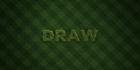 DRAW - fresh Grass letters with flowers and dandelions - 3D rendered royalty free stock image. Can be used for online banner ads and direct mailers..