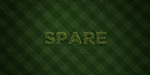 SPARE - fresh Grass letters with flowers and dandelions - 3D rendered royalty free stock image. Can be used for online banner ads and direct mailers..