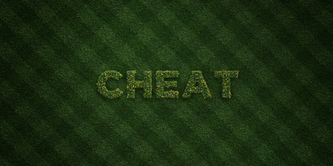CHEAT - fresh Grass letters with flowers and dandelions - 3D rendered royalty free stock image. Can be used for online banner ads and direct mailers..