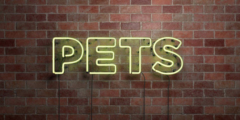 Fototapeta na wymiar PETS - fluorescent Neon tube Sign on brickwork - Front view - 3D rendered royalty free stock picture. Can be used for online banner ads and direct mailers..