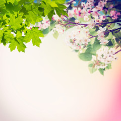 Obraz na płótnie Canvas Spring Blooming Branches