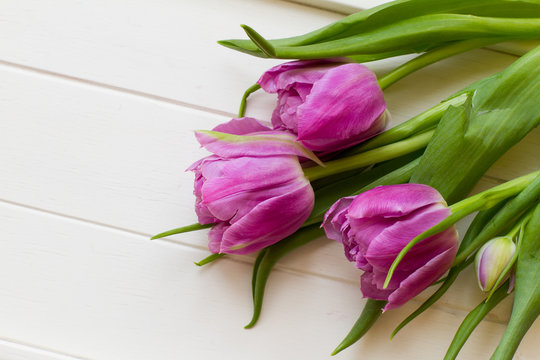 Violet tulips on white wooden background