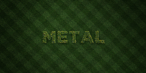 METAL - fresh Grass letters with flowers and dandelions - 3D rendered royalty free stock image. Can be used for online banner ads and direct mailers..