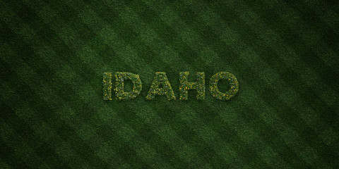 IDAHO - fresh Grass letters with flowers and dandelions - 3D rendered royalty free stock image. Can be used for online banner ads and direct mailers..
