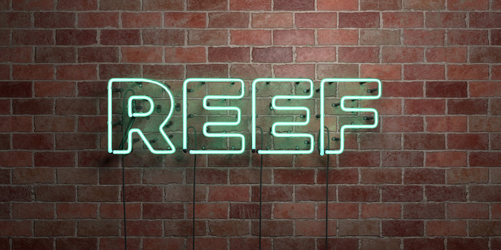 REEF - fluorescent Neon tube Sign on brickwork - Front view - 3D rendered royalty free stock picture. Can be used for online banner ads and direct mailers..