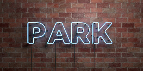 Obraz premium PARK - fluorescent Neon tube Sign on brickwork - Front view - 3D rendered royalty free stock picture. Can be used for online banner ads and direct mailers..