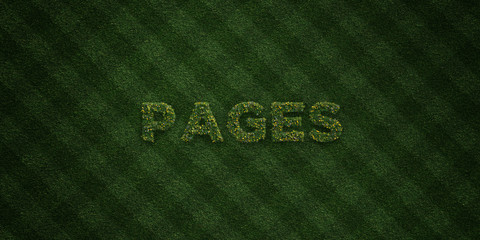 PAGES - fresh Grass letters with flowers and dandelions - 3D rendered royalty free stock image. Can be used for online banner ads and direct mailers..