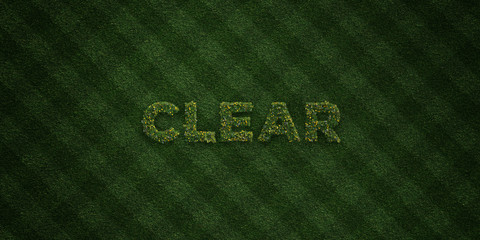 CLEAR - fresh Grass letters with flowers and dandelions - 3D rendered royalty free stock image. Can be used for online banner ads and direct mailers..