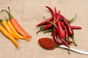 colorful fresh vegetable, chilly pepper with spice in silver spoon