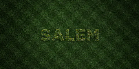 SALEM - fresh Grass letters with flowers and dandelions - 3D rendered royalty free stock image. Can be used for online banner ads and direct mailers..