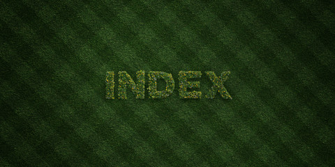 INDEX - fresh Grass letters with flowers and dandelions - 3D rendered royalty free stock image. Can be used for online banner ads and direct mailers..