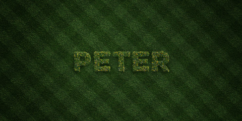 PETER - fresh Grass letters with flowers and dandelions - 3D rendered royalty free stock image. Can be used for online banner ads and direct mailers..