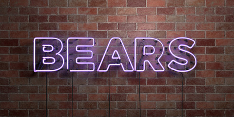 Fototapeta na wymiar BEARS - fluorescent Neon tube Sign on brickwork - Front view - 3D rendered royalty free stock picture. Can be used for online banner ads and direct mailers..