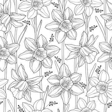 Vector seamless pattern with outline narcissus or daffodil flower and leaves on the white background. Floral background with narcissus for spring design or adult coloring book in contour style.