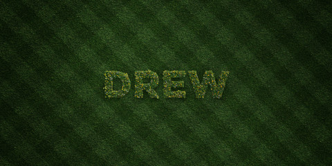 DREW - fresh Grass letters with flowers and dandelions - 3D rendered royalty free stock image. Can be used for online banner ads and direct mailers..