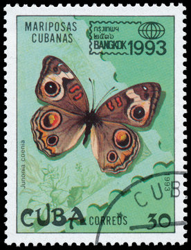Stamp printed in CUBA shows image of butterfly Junonia evarete coenia