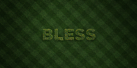 BLESS - fresh Grass letters with flowers and dandelions - 3D rendered royalty free stock image. Can be used for online banner ads and direct mailers..