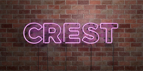 CREST - fluorescent Neon tube Sign on brickwork - Front view - 3D rendered royalty free stock picture. Can be used for online banner ads and direct mailers..
