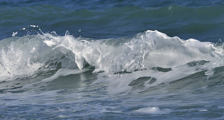 Coastal sea/ocean crashing wave with foam on its top