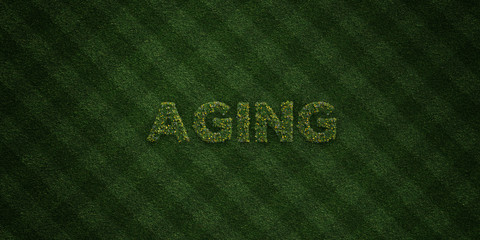 Fototapeta na wymiar AGING - fresh Grass letters with flowers and dandelions - 3D rendered royalty free stock image. Can be used for online banner ads and direct mailers..