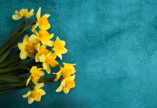 Beautiful Card with Yellow flowers daffodils on turquoise texture.