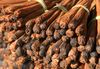 Tender palm shoots rich in fiber content grows in Southern India