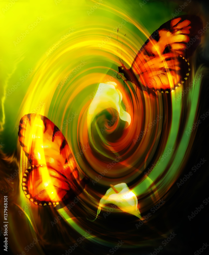 Poster flying butterfly on decorative background with cala flower and swirl effect.