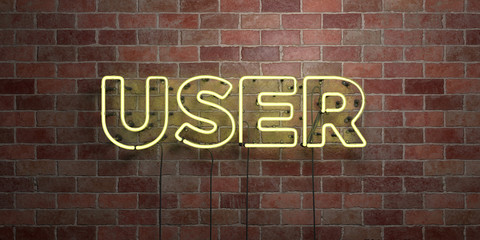 USER - fluorescent Neon tube Sign on brickwork - Front view - 3D rendered royalty free stock picture. Can be used for online banner ads and direct mailers..