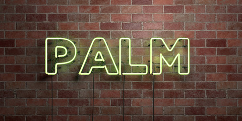 PALM - fluorescent Neon tube Sign on brickwork - Front view - 3D rendered royalty free stock picture. Can be used for online banner ads and direct mailers..
