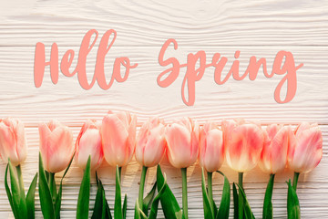 hello spring text sign, beautiful pink tulips on white rustic wooden background flat lay. flowers in soft morning sunlight with space for text. greeting card concept © sonyachny