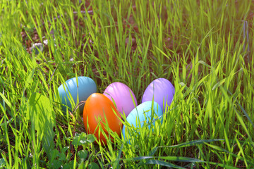 easter colorful eggs on the green grass