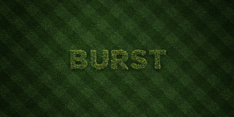 BURST - fresh Grass letters with flowers and dandelions - 3D rendered royalty free stock image. Can be used for online banner ads and direct mailers..
